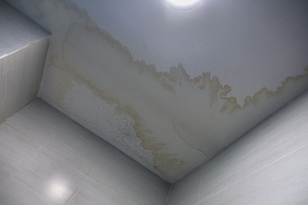 Water stain ring on bathroom drywall ceiling caused by an active roof leak in a Montgomery County home